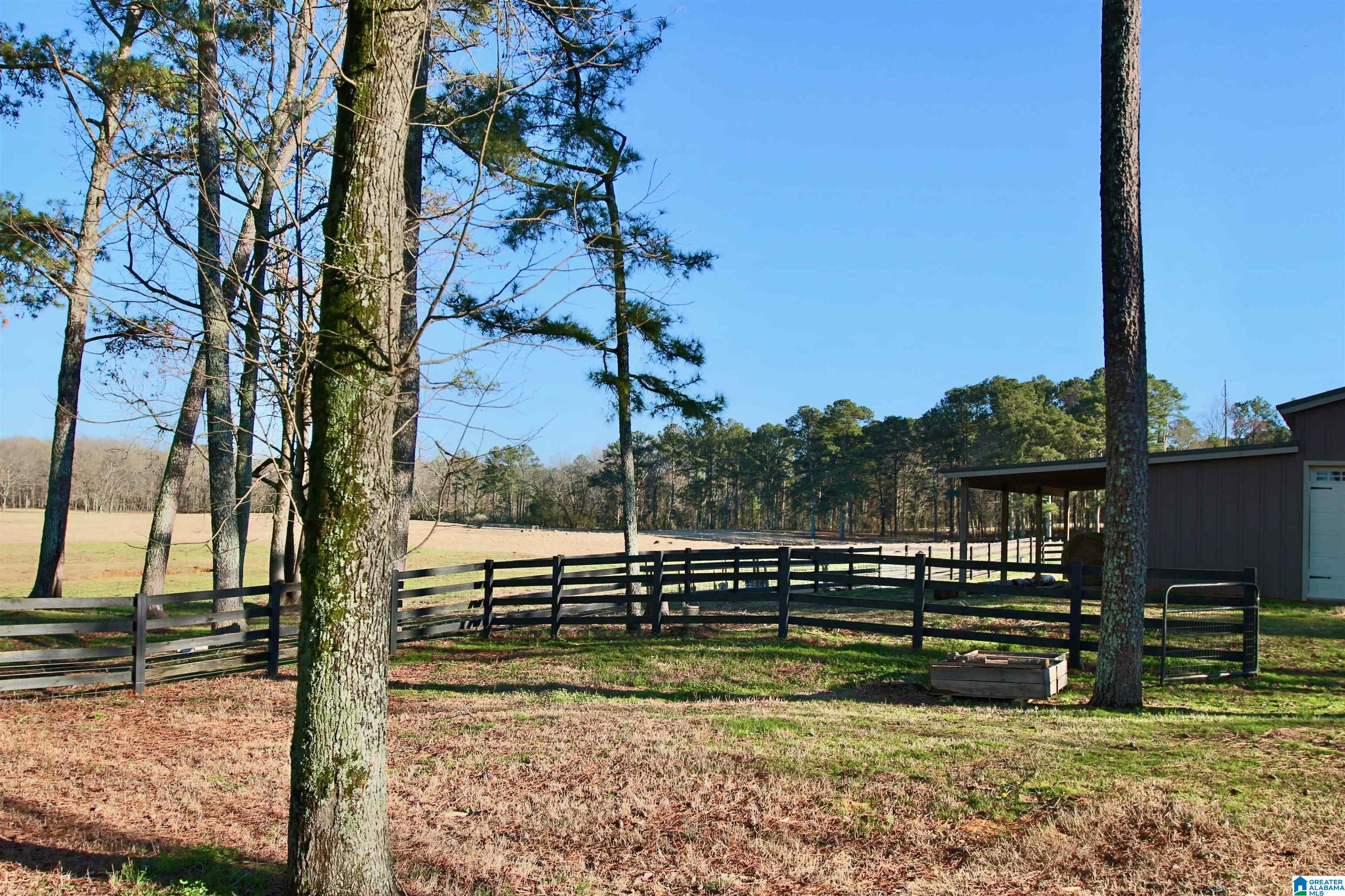 1396 Sun Valley Road Harpersville, AL 35078 - Photo 59 of 82