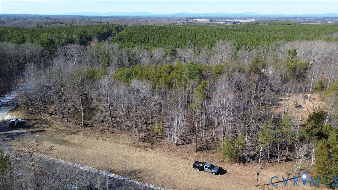 0 Slate River Mill Road Dillwyn, VA 23936 - Photo 2 of 16 a view of a field with a tree in the background