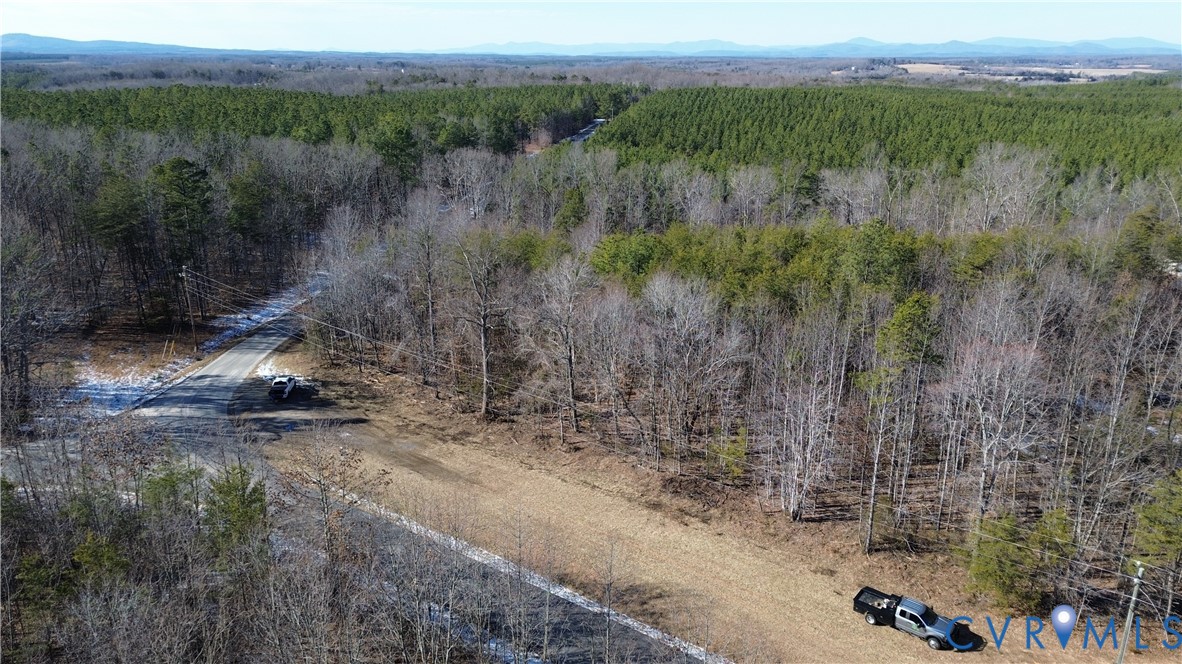 0 Slate River Mill Road Dillwyn, VA 23936 - Photo 3 of 16 a view of a field with a tree