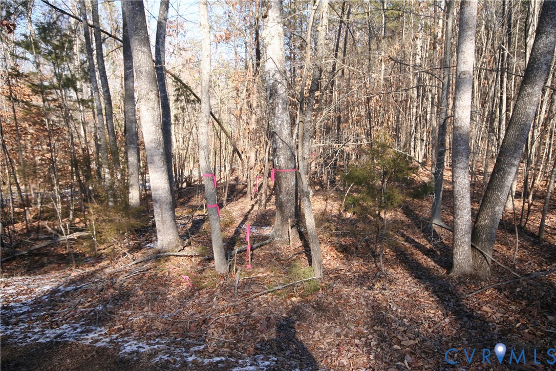 0 Slate River Mill Road Dillwyn, VA 23936 - Photo 8 of 16 a view of outdoor space with trees