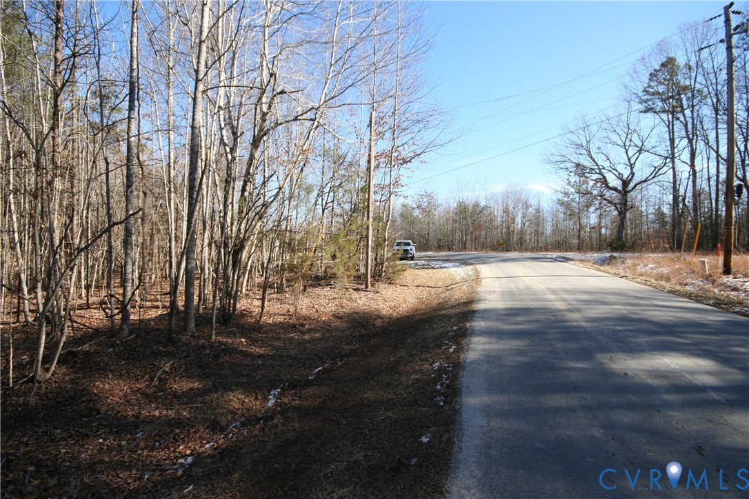 0 Slate River Mill Road Dillwyn, VA 23936 - Photo 9 of 16 a view of dirt yard with a large tree