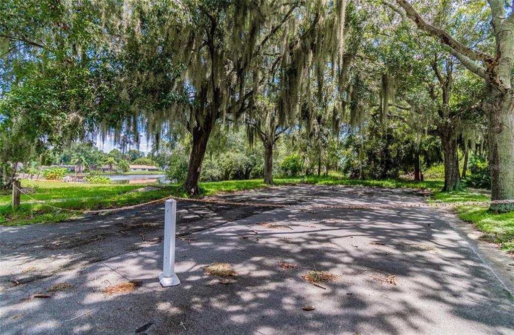0 Berry Hill Road Holiday, FL 34690 - Photo 6 of 43
