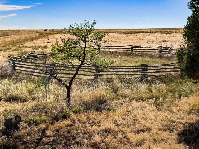 $2,999,999 | 16 19444 Road, Yellow Jacket, CO 81335