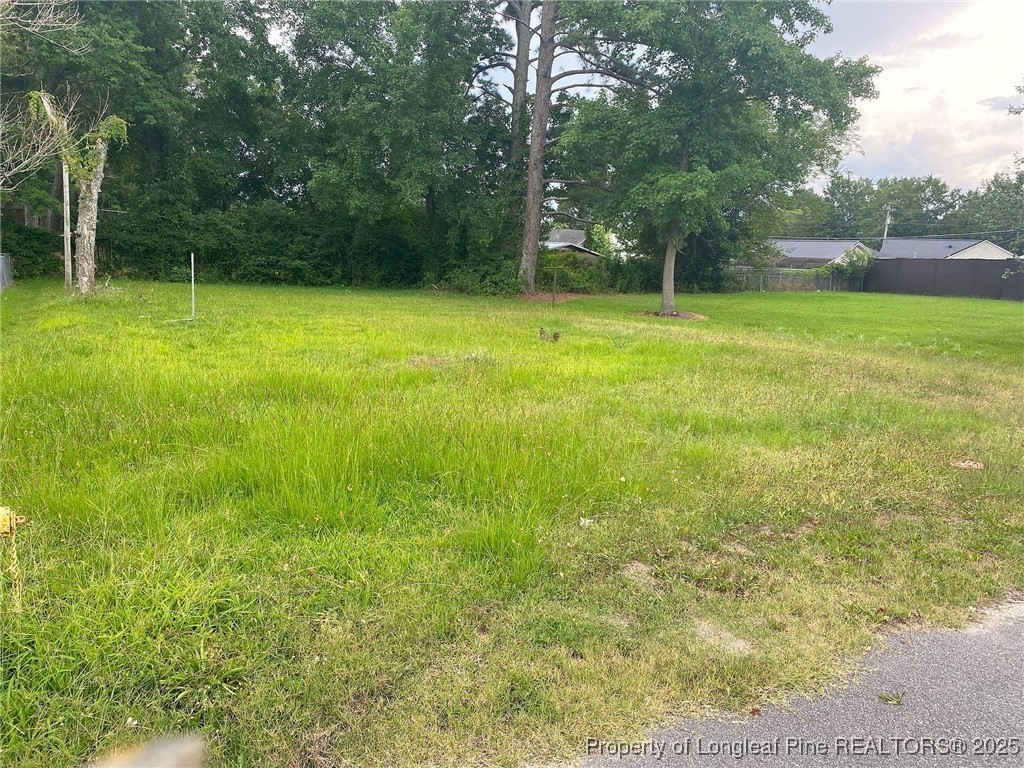 604 Middle Street Lumberton, NC 28358 - Photo 3 of 6 a backyard of a house with lots of green space