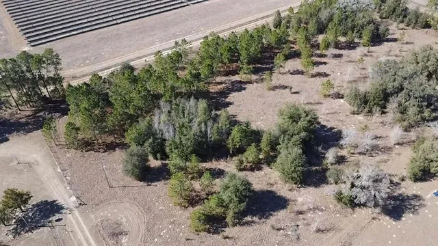 $29,900 | 101 Northeast Ne Street, Archer, FL 32618