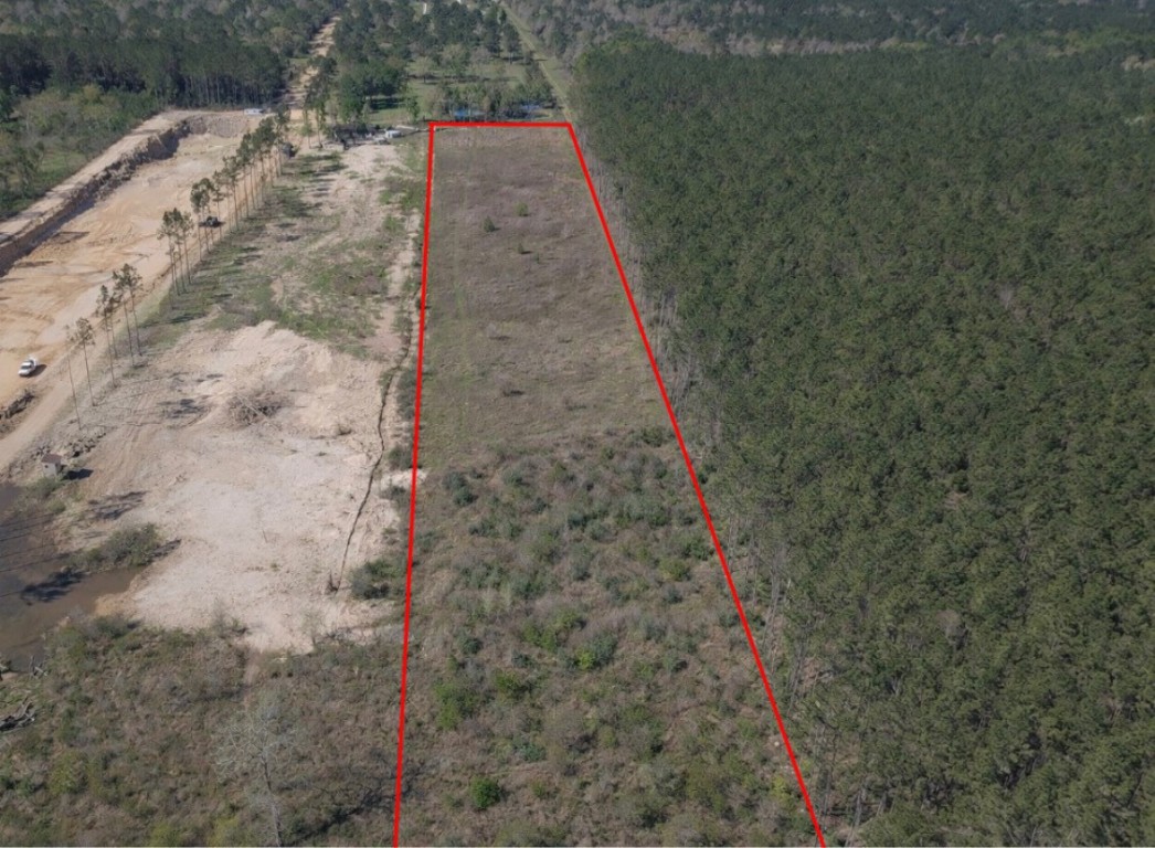925 County Line Road Shepherd, TX 77371 - Photo 2 of 7 A cleared area surrounded by dense forest, offering both open space and natural privacy, ideal for a secluded retreat.