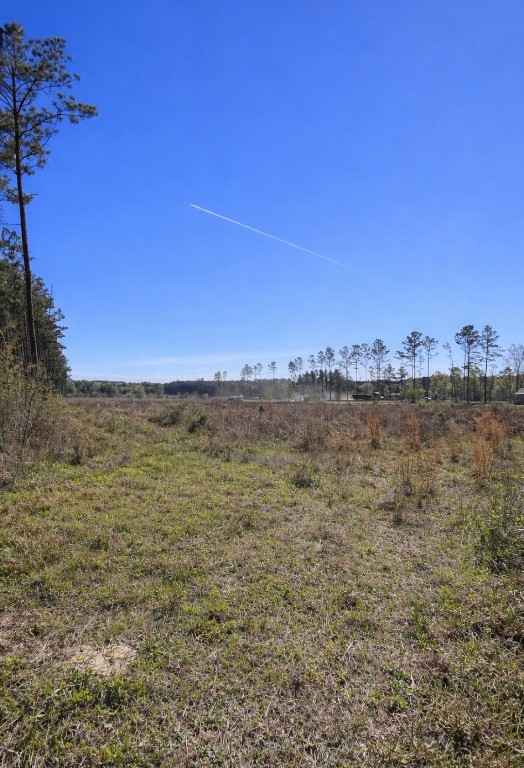 925 County Line Road Shepherd, TX 77371 - Photo 5 of 7
