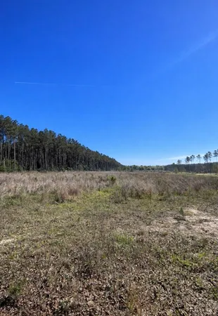 $220,000 | 925 County Line Road, Shepherd, TX 77371