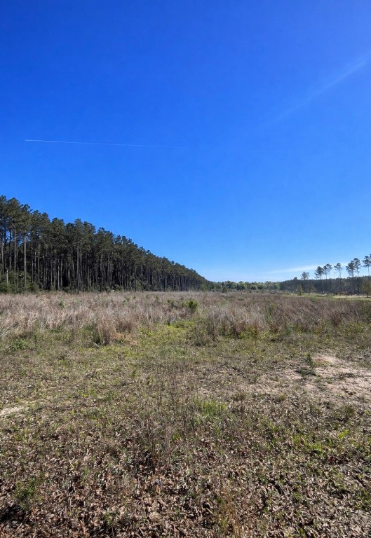 925 County Line Road Shepherd, TX 77371 - Photo 7 of 7