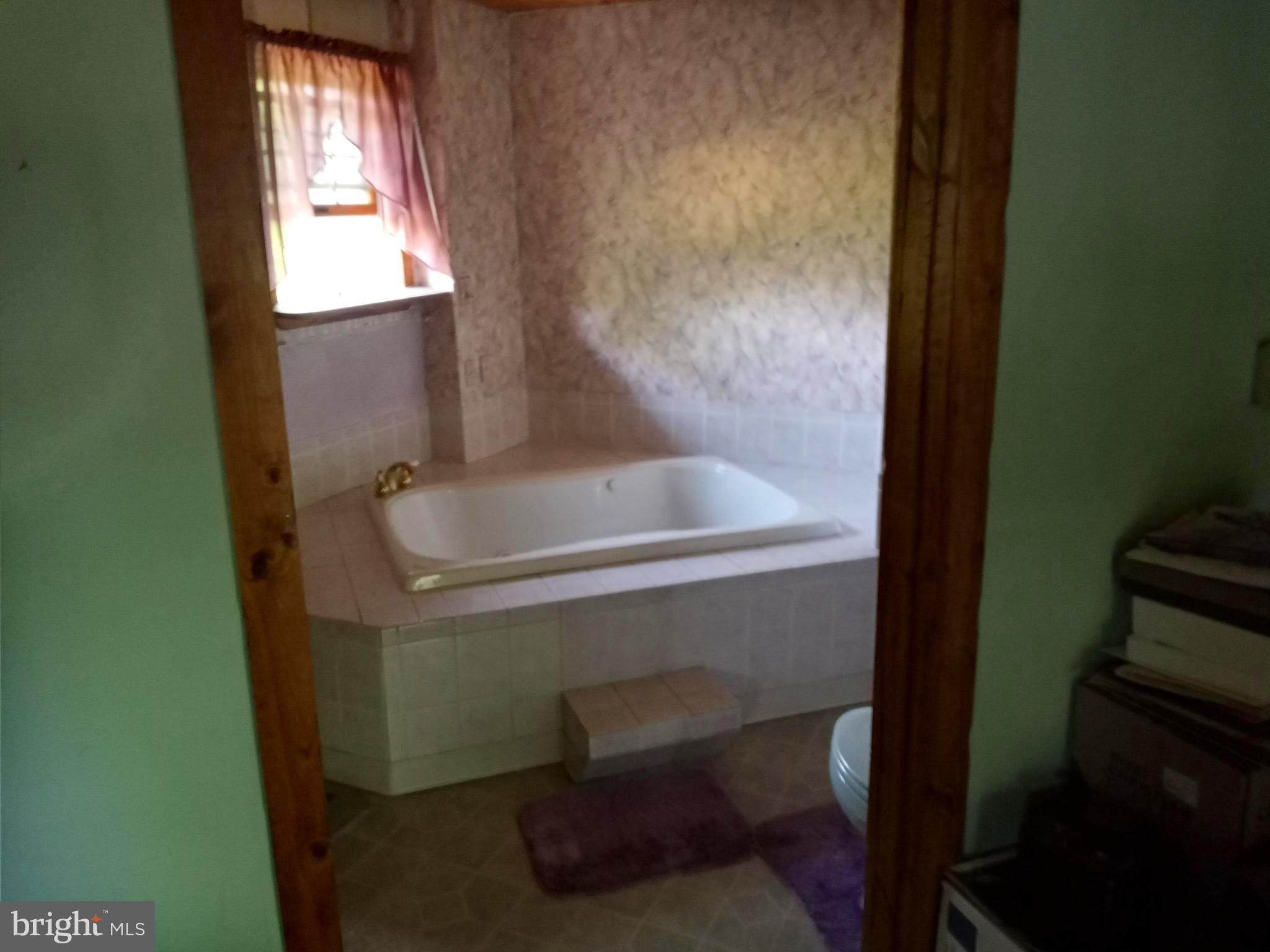 159 Byram Lane Stockton, NJ 08559 - Photo 13 of 41 Main Bedroom Full Bath with Whirlpool