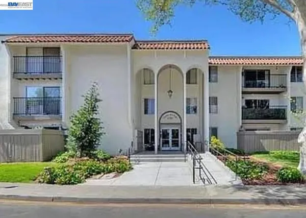 front view of a house with potted plants