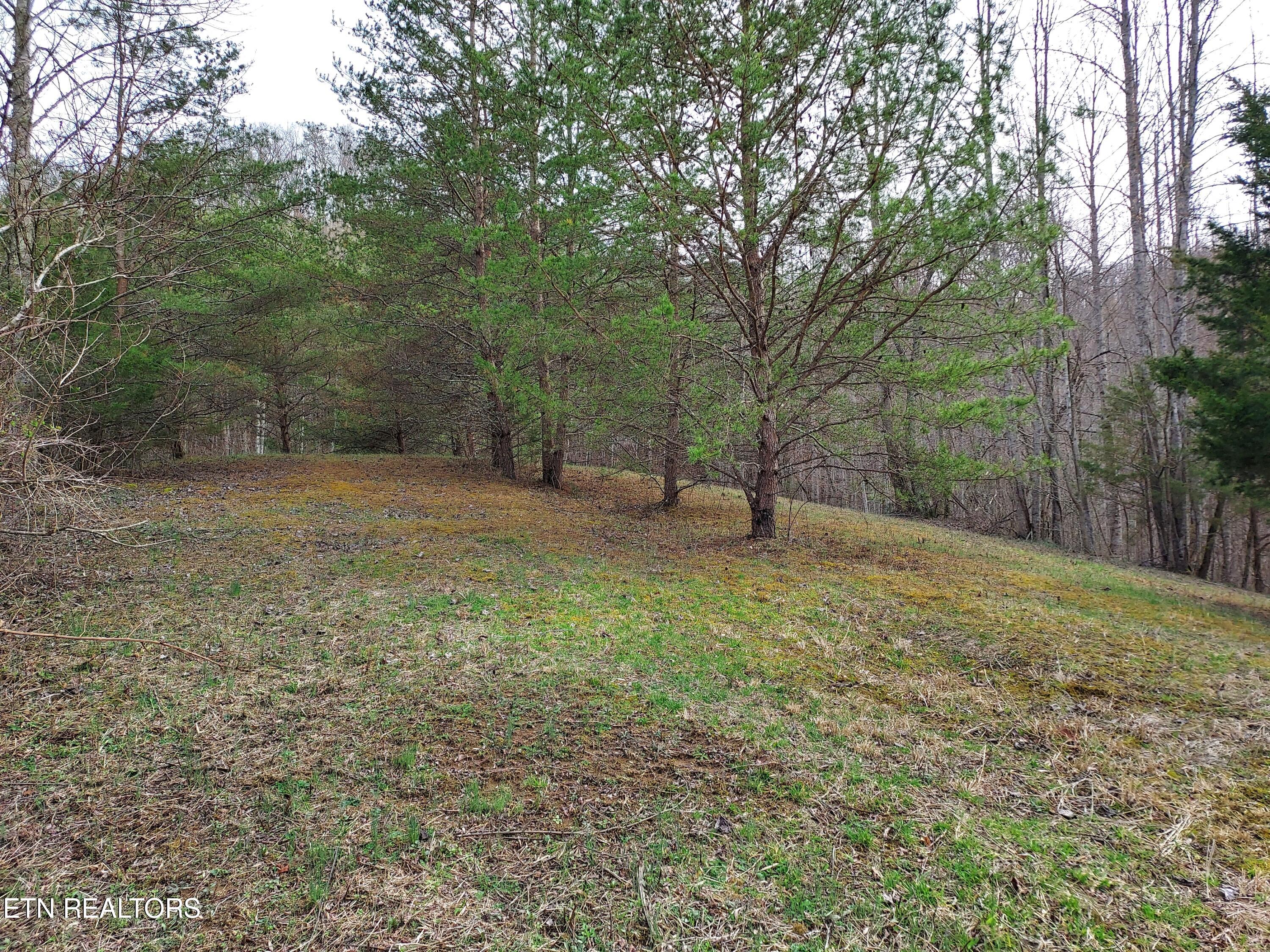 160 Brown Road Sneedville, TN 37869 - Photo 34 of 57 20240307_155729