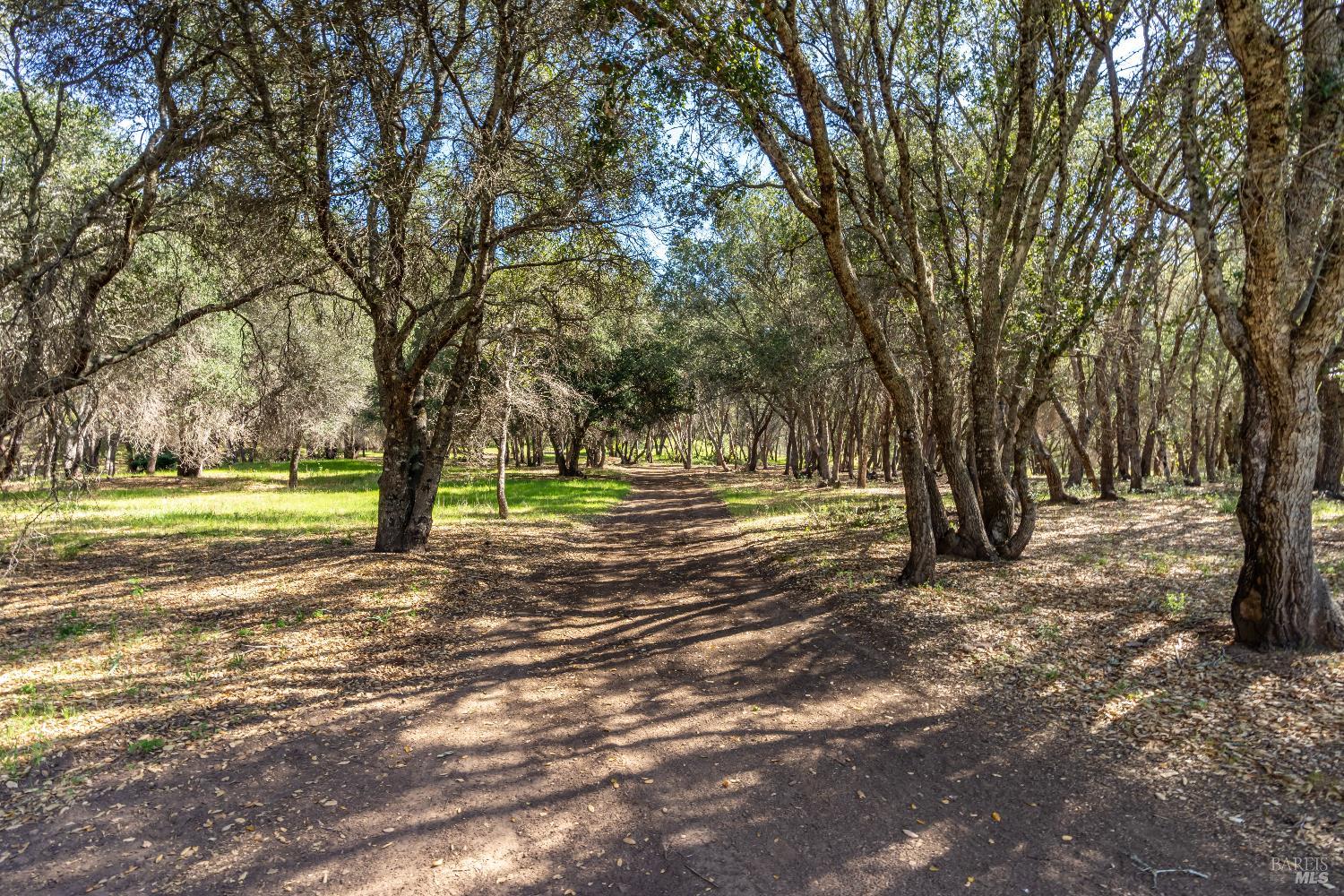 0 Franz Valley School Road Calistoga, CA 94515 - Photo 2 of 2 a view of yard with trees