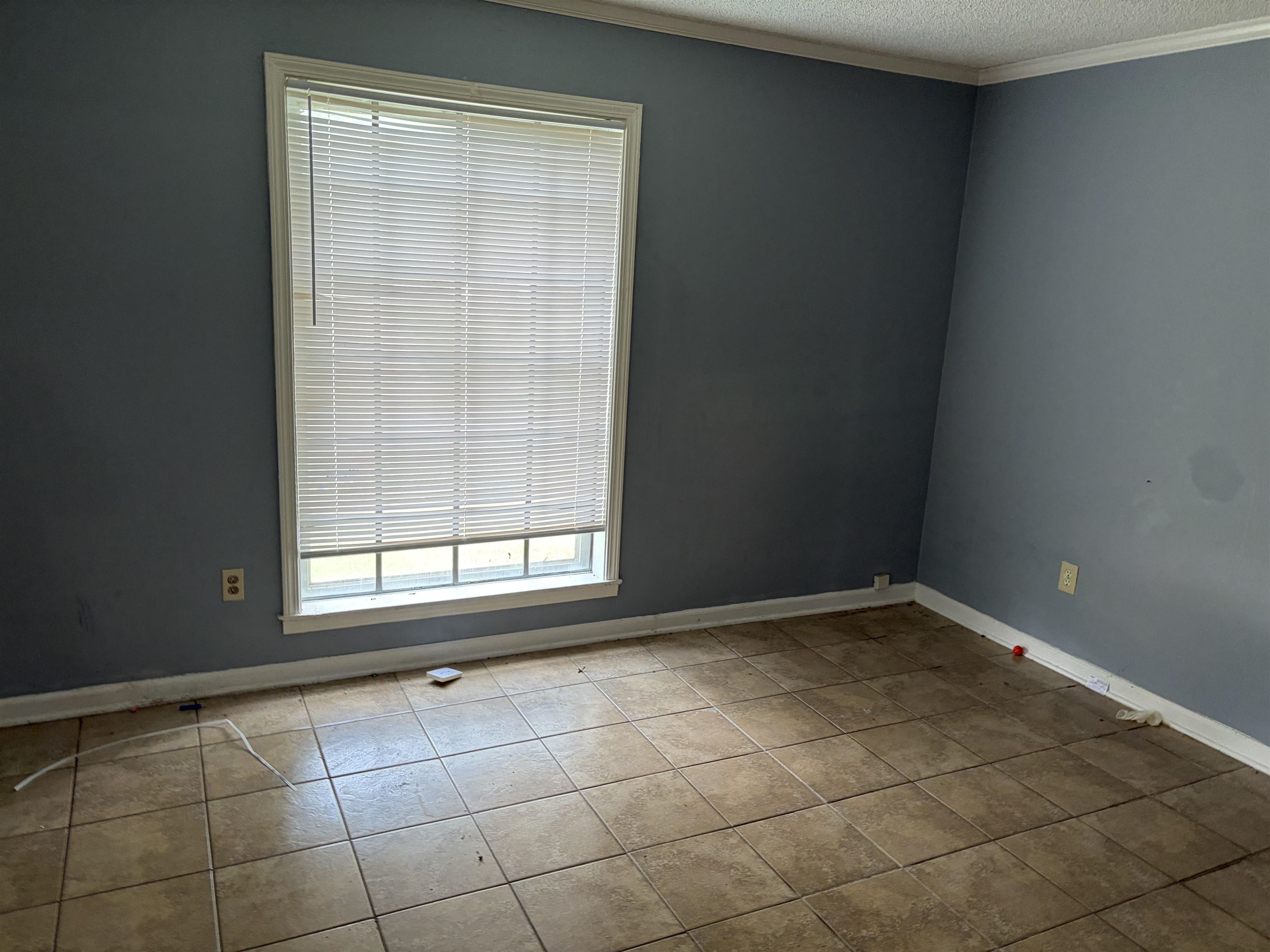 4993 Cedar View Road Memphis, TN 38118 - Photo 9 of 23 Image quality insufficient for description
