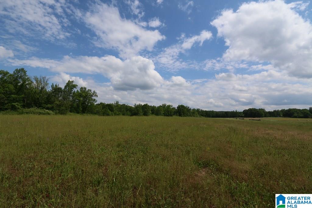 Wolf Creek Road, Unit 79 25 Pell City, AL 35128 - Photo 4 of 14