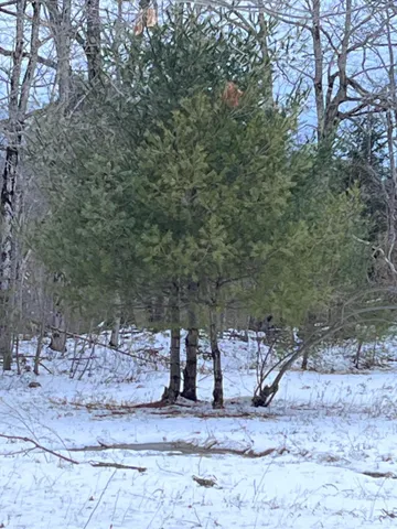 $69,000 | 13 South Dondero Road, Chelsea, ME 04330