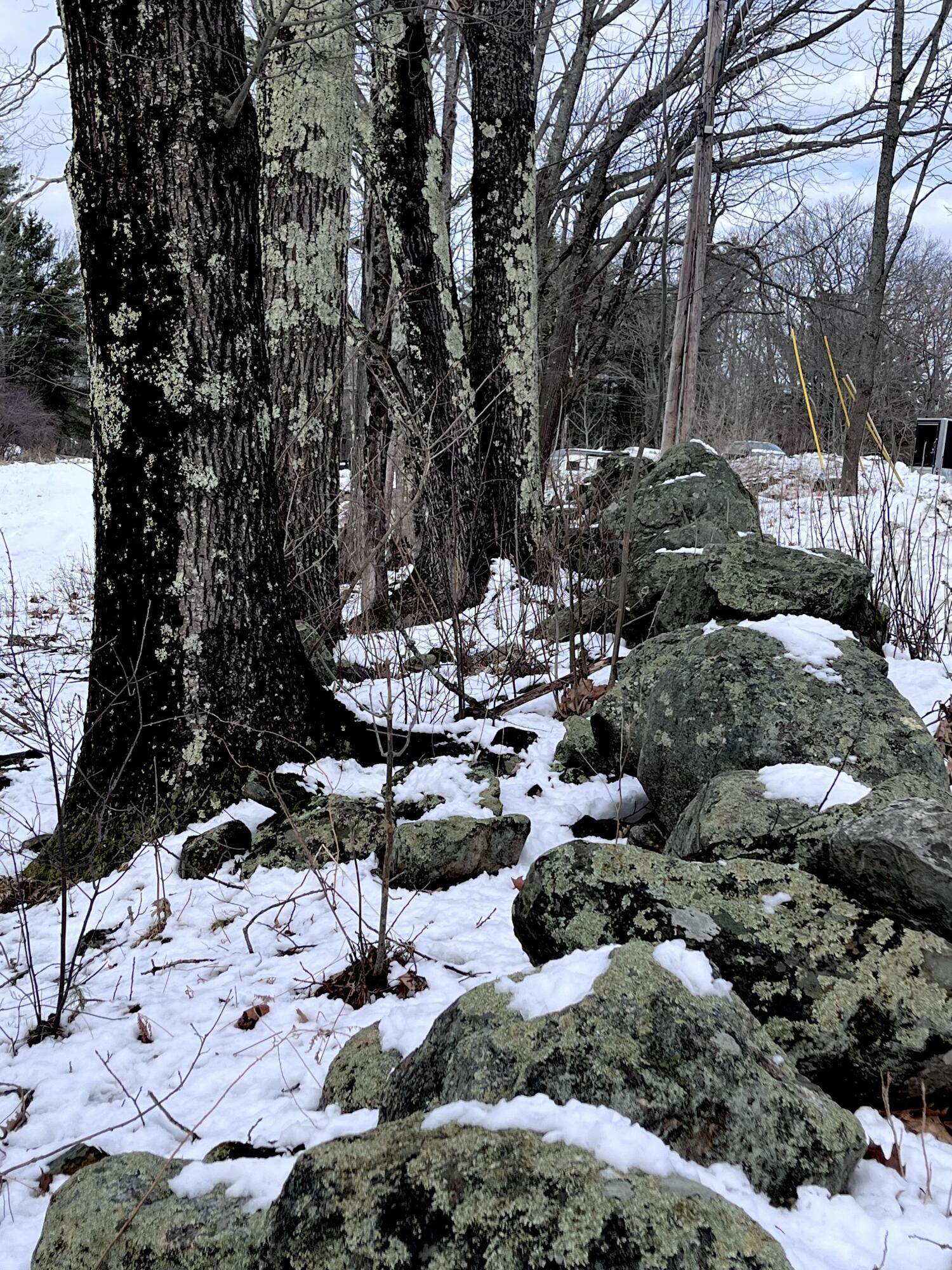 13 South Dondero Road Chelsea, ME 04330 - Photo 17 of 17 IMG_9626 (1)