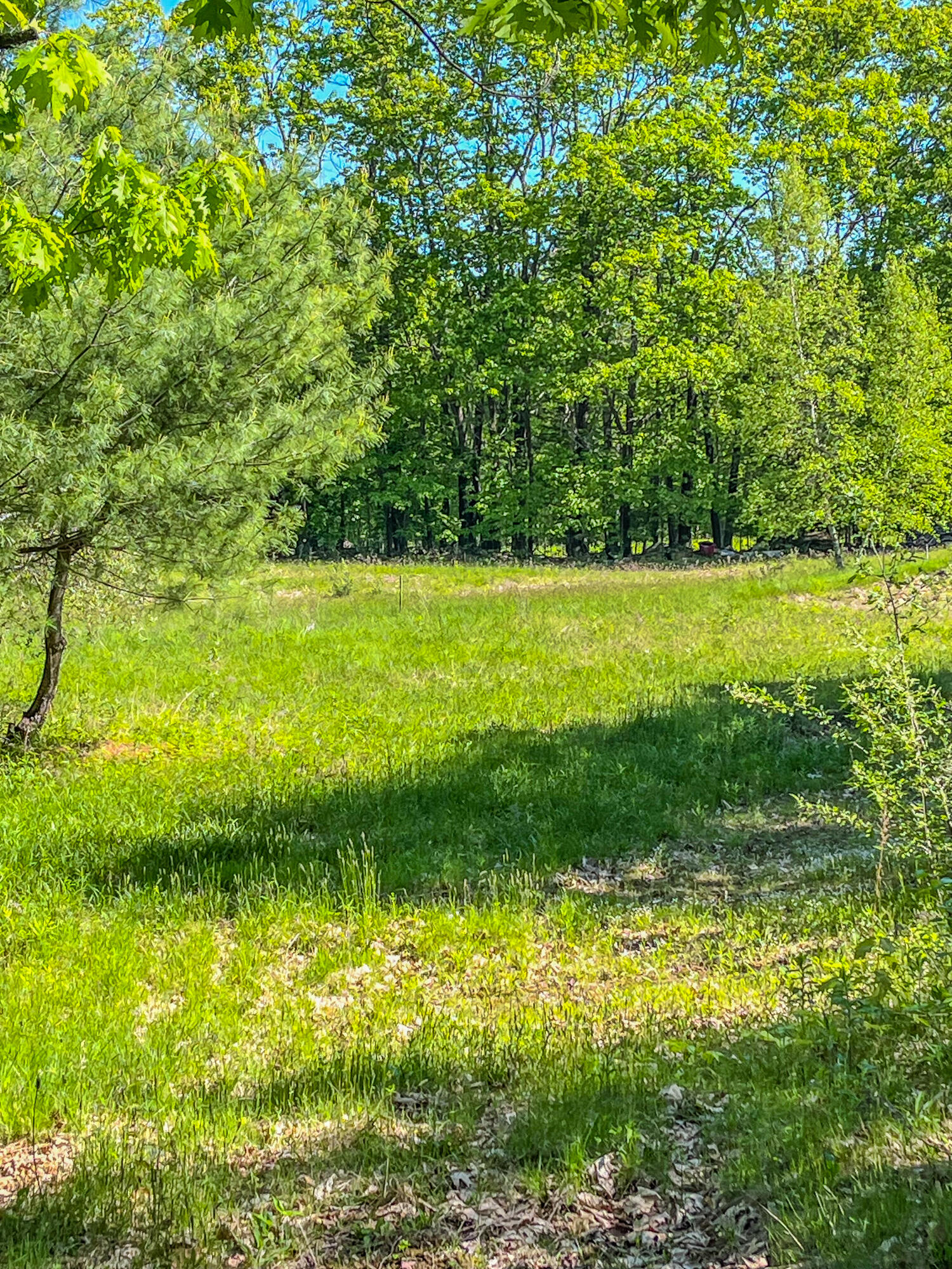 13 South Dondero Road Chelsea, ME 04330 - Photo 4 of 17 13 S Dondero Rd-3