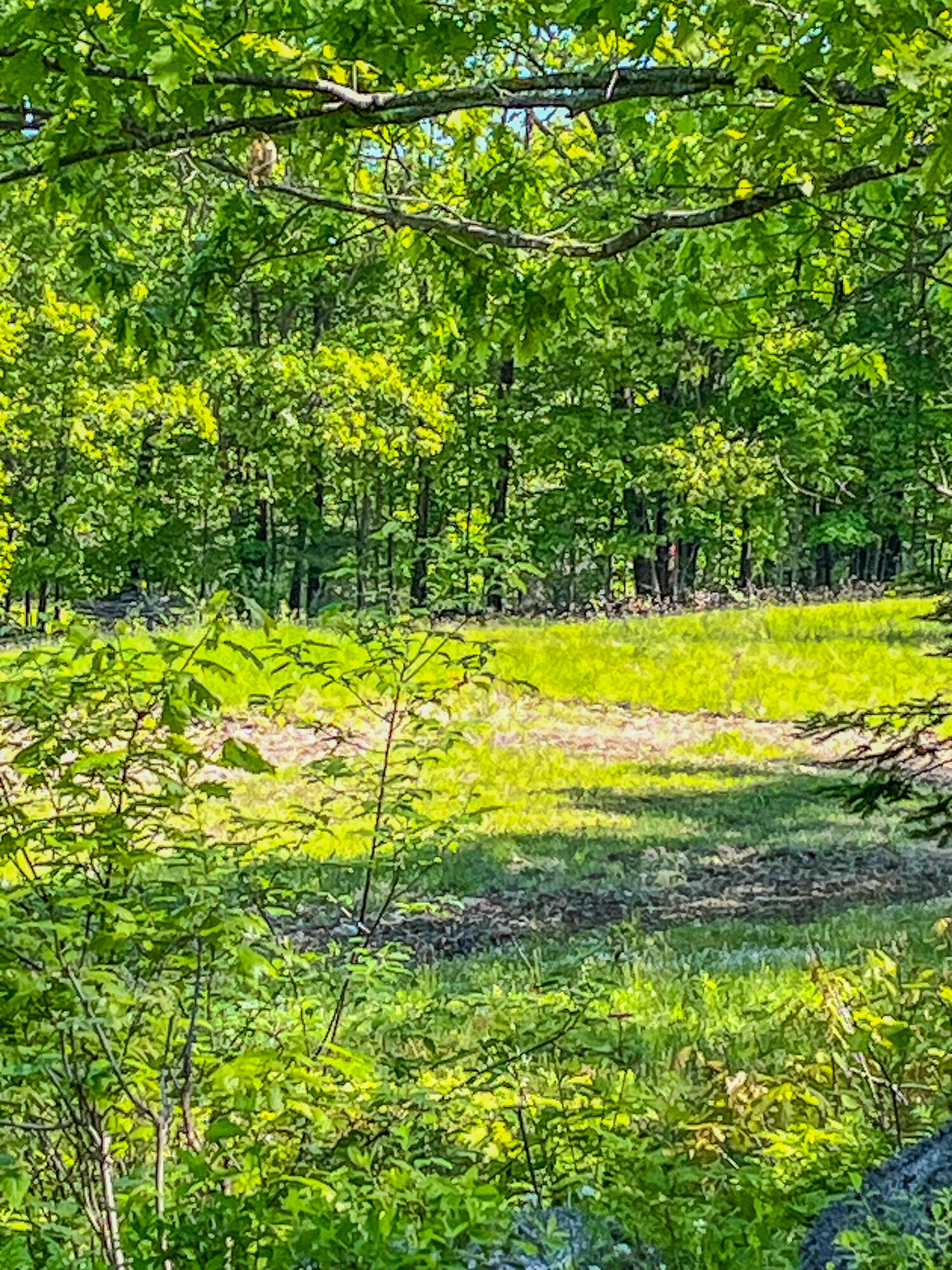 13 South Dondero Road Chelsea, ME 04330 - Photo 7 of 17 13 S Dondero Rd-6