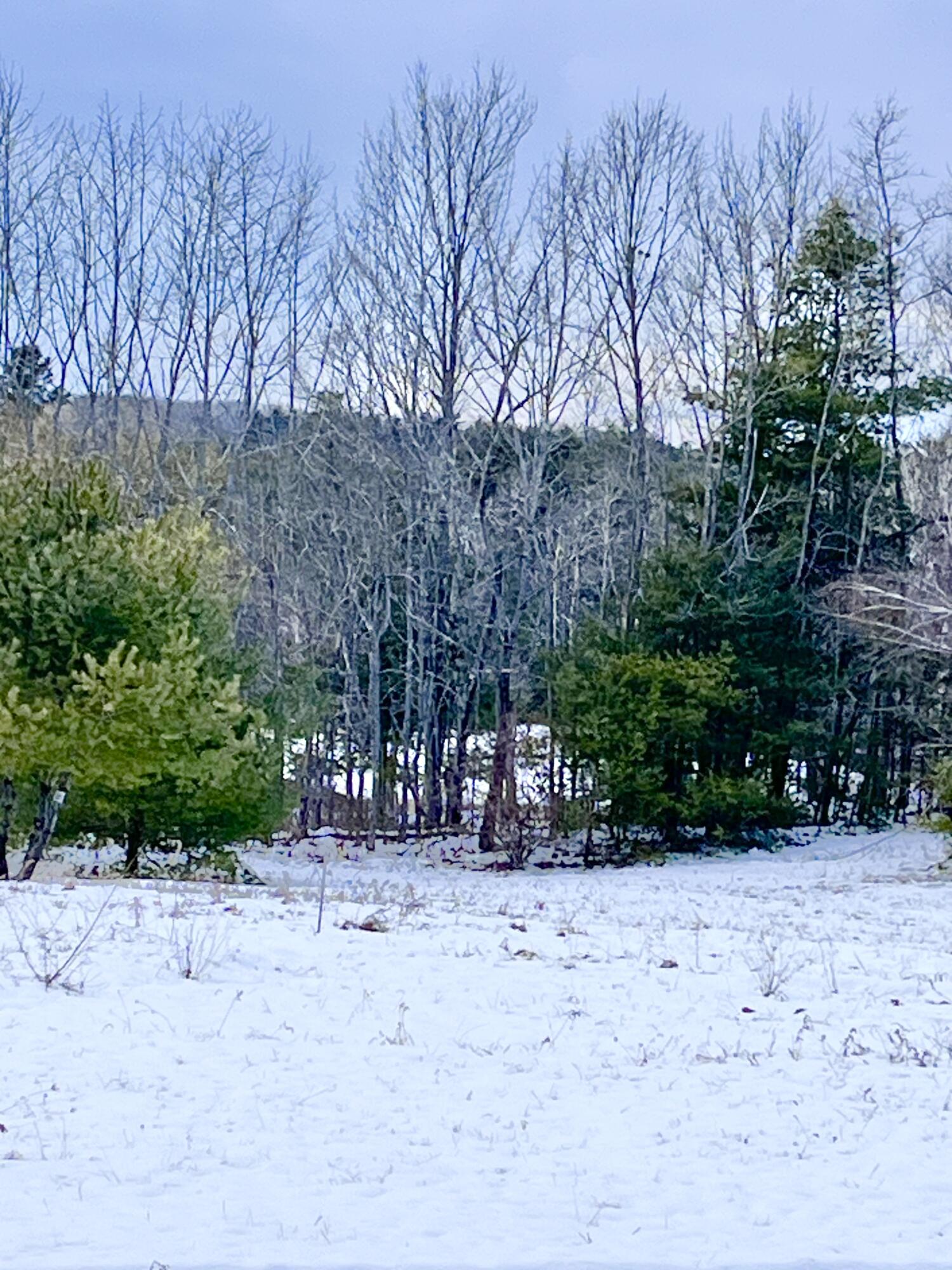 13 South Dondero Road Chelsea, ME 04330 - Photo 9 of 17 IMG_9625