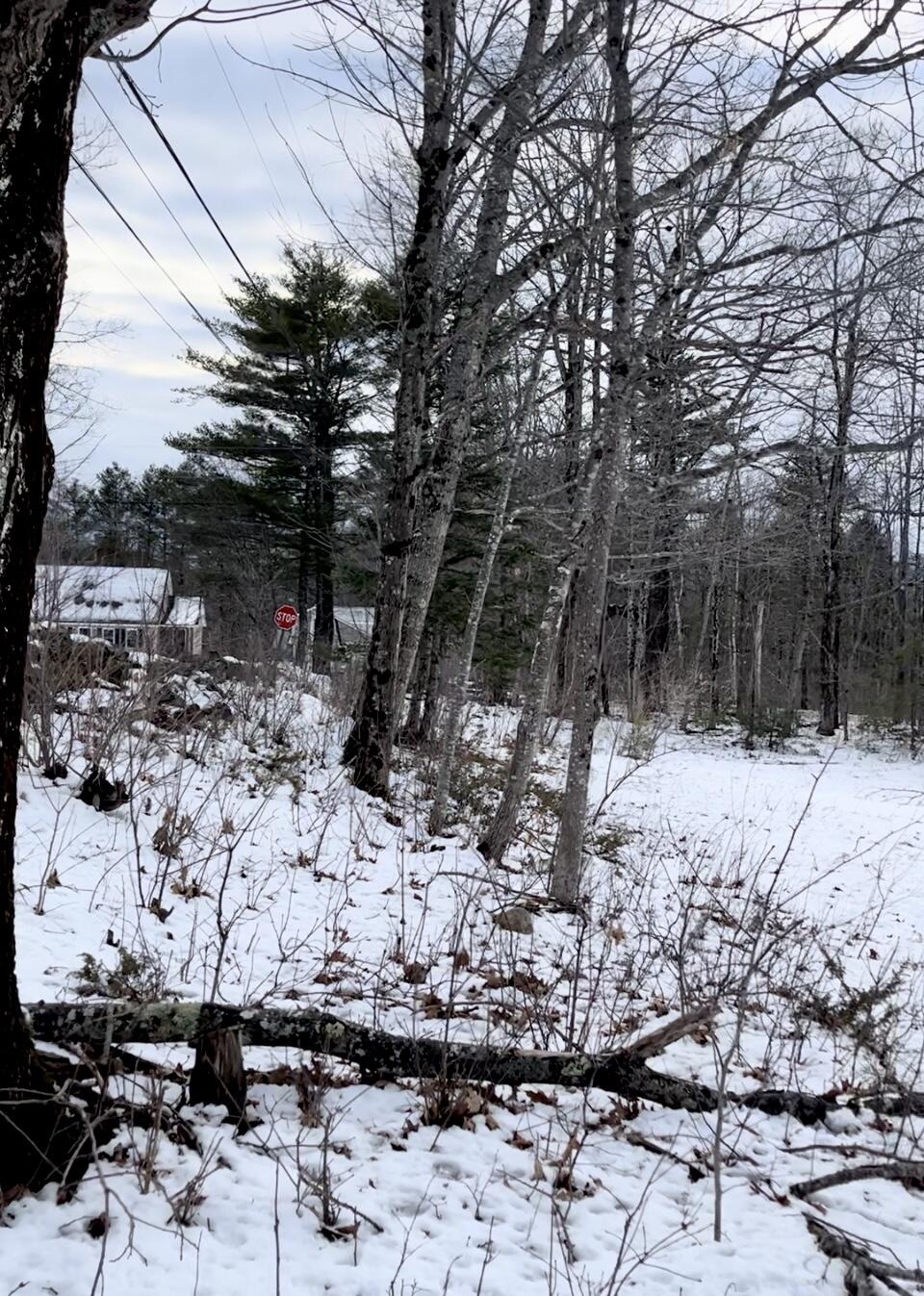 13 South Dondero Road Chelsea, ME 04330 - Photo 10 of 17 IMG_9641