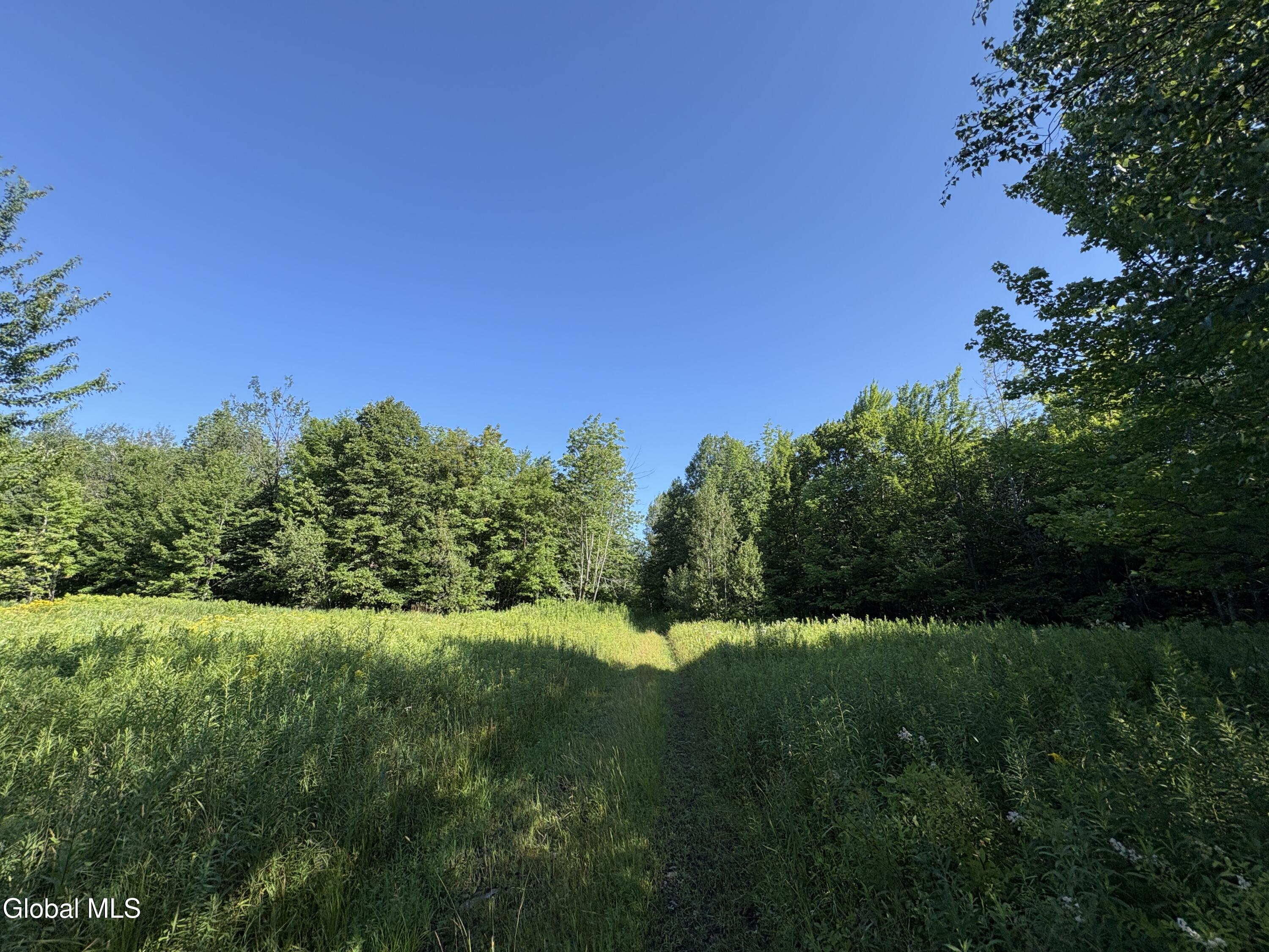 811 Drown Road Mooers, NY 12935 - Photo 31 of 42 IMG_4524