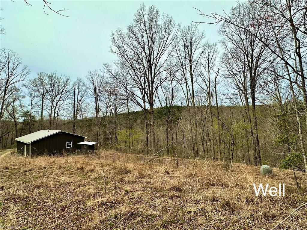 1747 Msn Ext Road, Unit LOT 22 Danbury, NC 27016 - Photo 11 of 39 Gallery Image 11