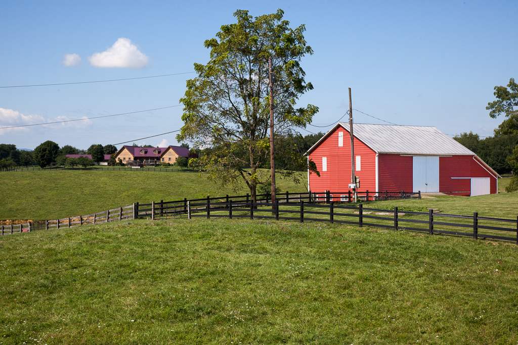 1800 Duke Road Waynesboro, VA 22980 - Photo 29 of 41 a view of a park with large trees