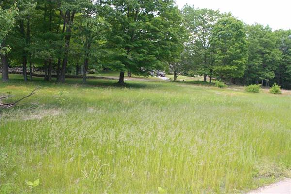 945 Old Dana Road Barre, MA 01005 - Photo 18 of 19 a view of yard with green space
