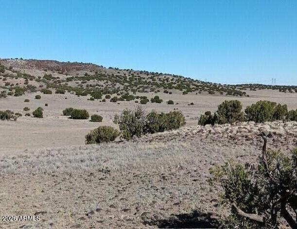 2121 County Road Concho, AZ 85924 - Photo 6 of 9 a view of a road with ocean view