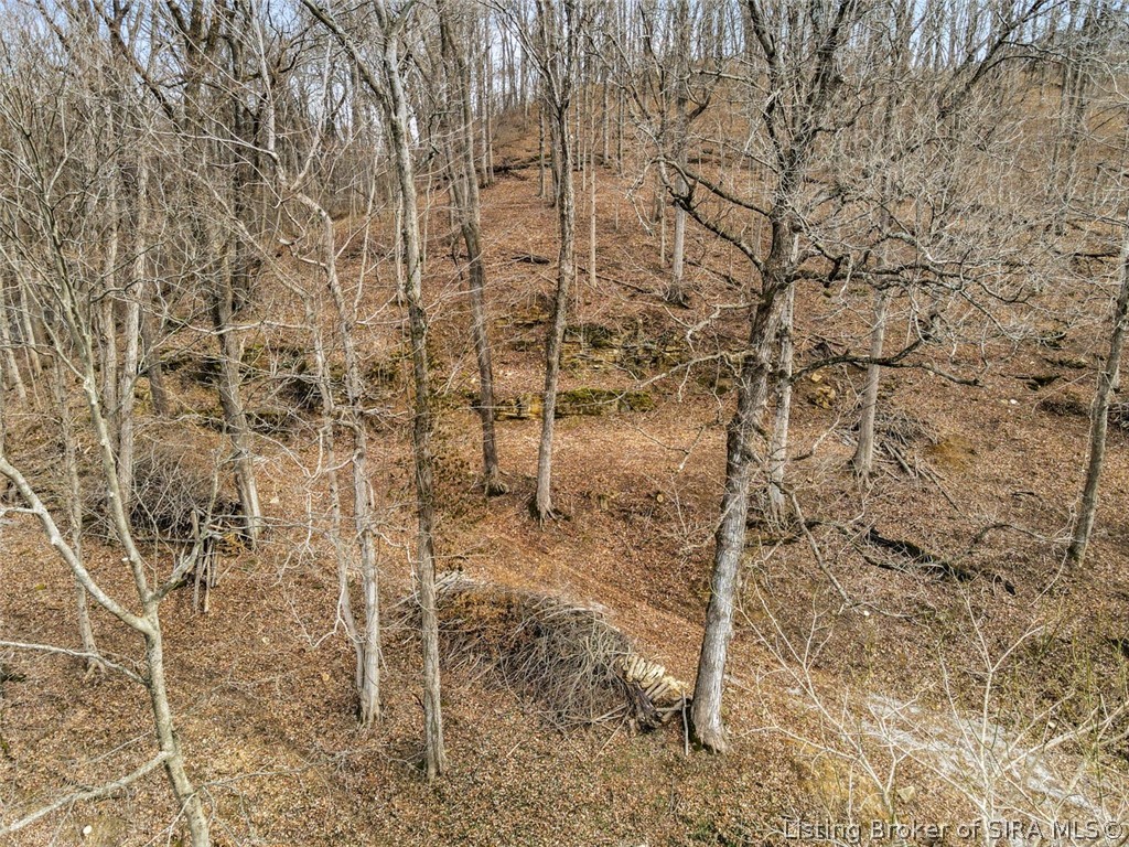 0 Rose Island Road Prospect, KY 40059 - Photo 17 of 28