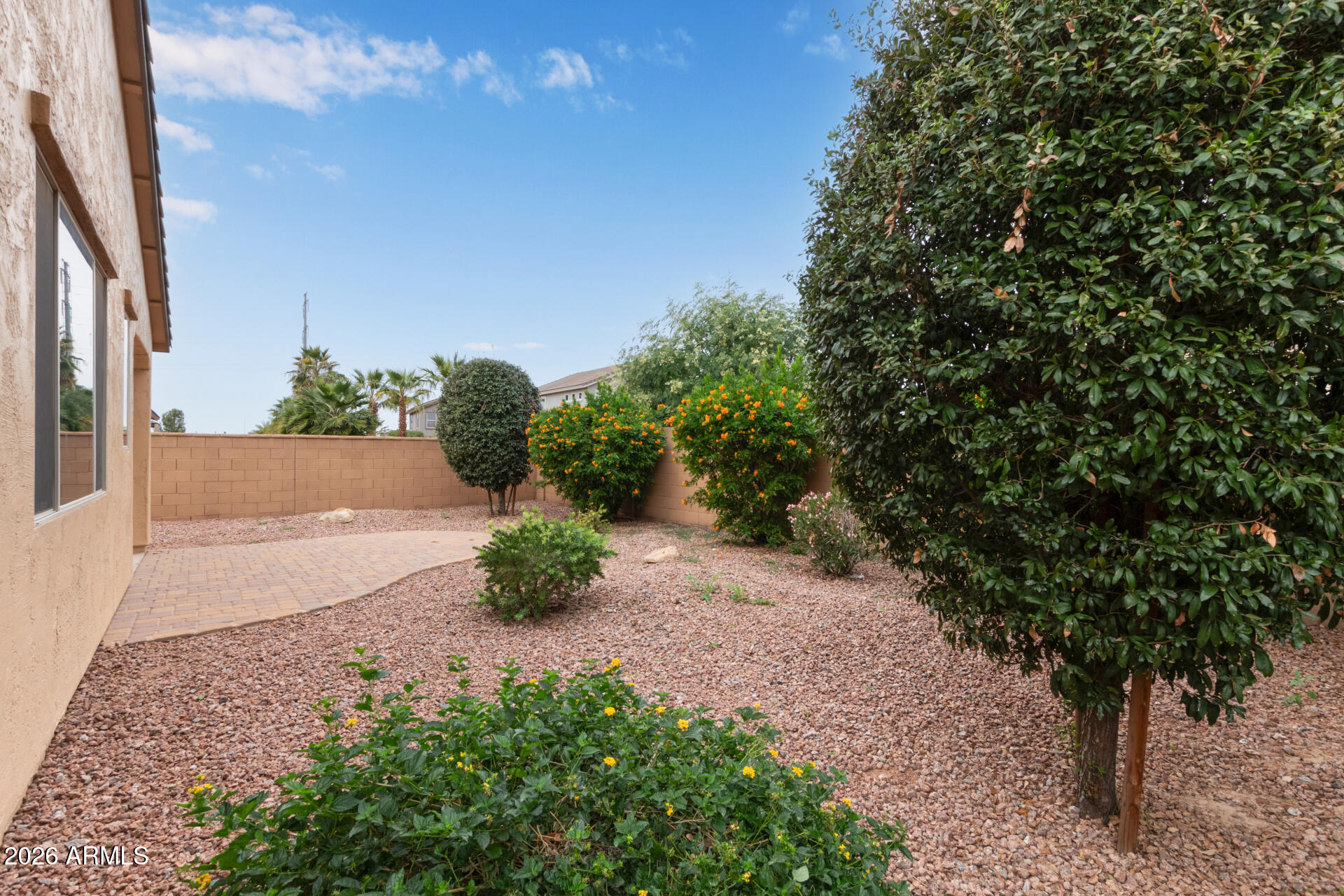 41334 West Rio Bravo Drive Maricopa, AZ 85138 - Photo 40 of 43 a view of a yard with plants and a fountain