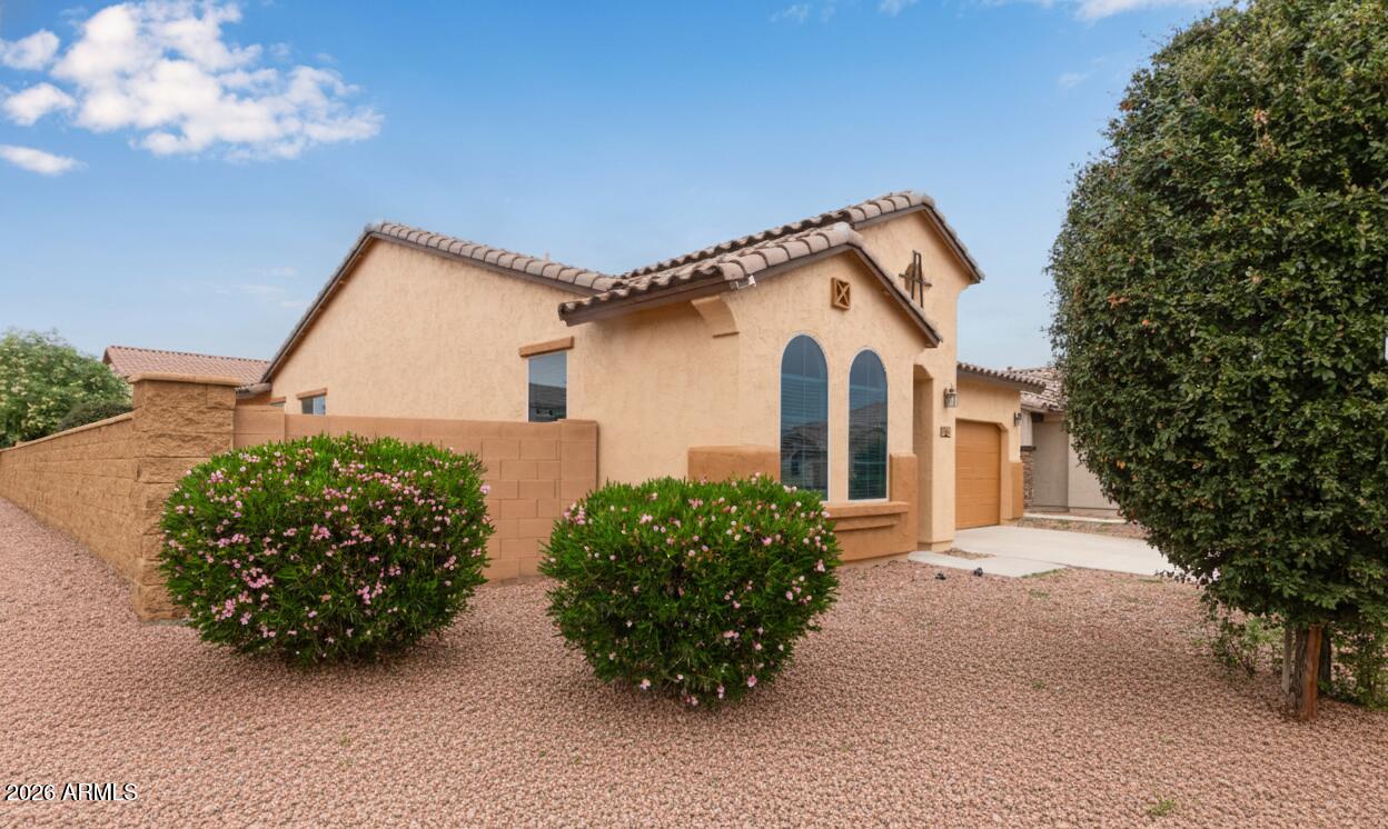 41334 West Rio Bravo Drive Maricopa, AZ 85138 - Photo 42 of 43 a view of a house with a yard and potted plants