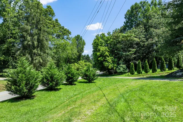 a view of a park with a tree in the background