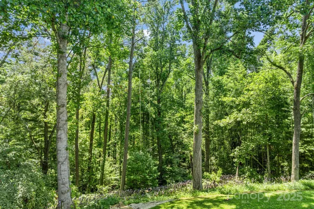 a view of outdoor space and trees
