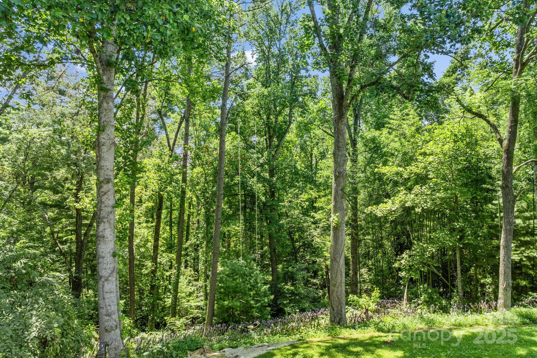 1215 Upper Brush Creek Road Fairview, NC 28730 - Photo 34 of 41 a view of outdoor space and trees