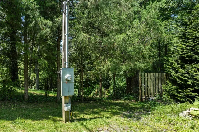a view of a garden with a tree