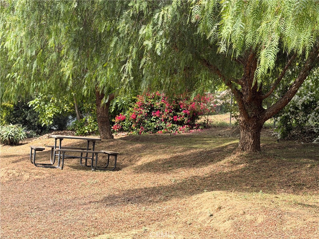 3839 Forbell Place Fallbrook, CA 92028 - Photo 26 of 98 The Upper property is bordered by a line of California Pepper Trees, creating a natural boundary and sense of seclusion
