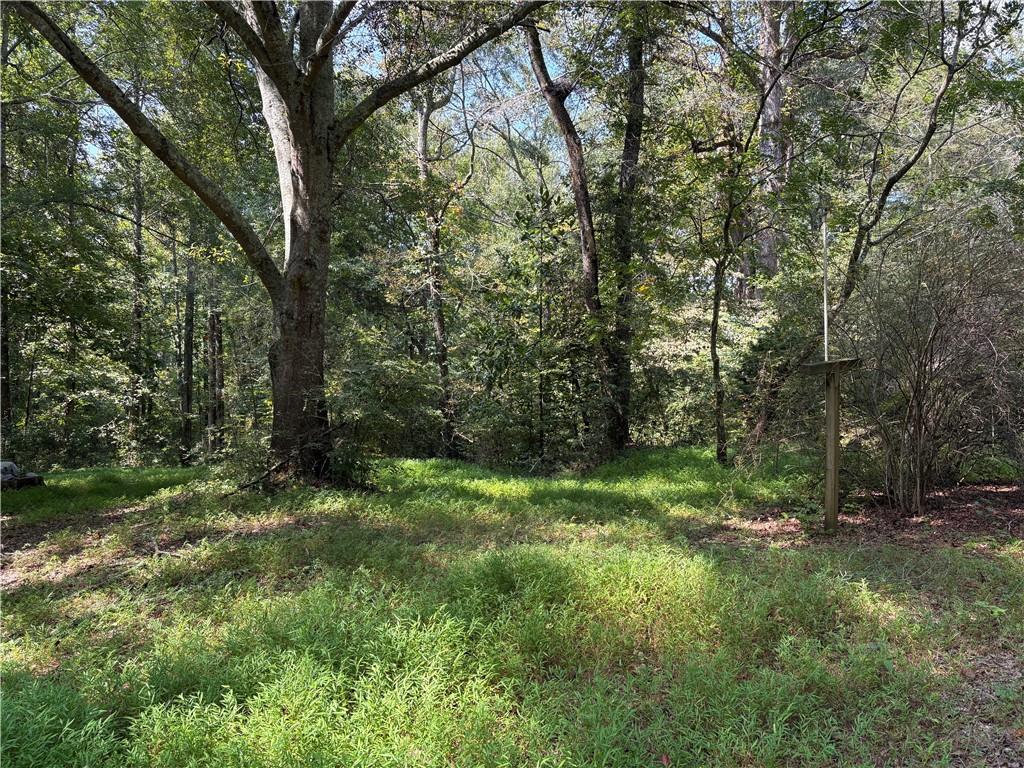 6485 Forsyth Drive Cumming, GA 30028 - Photo 11 of 26 a big yard with lots of green space and deers