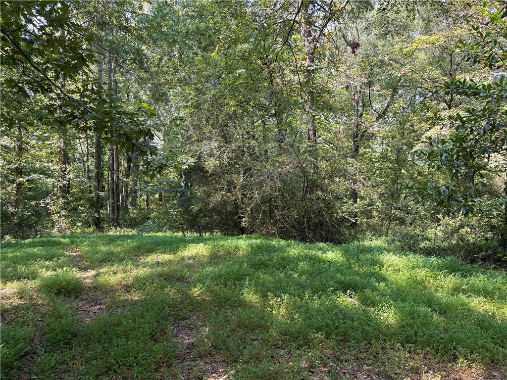 6485 Forsyth Drive Cumming, GA 30028 - Photo 12 of 26 a view of a lush green space