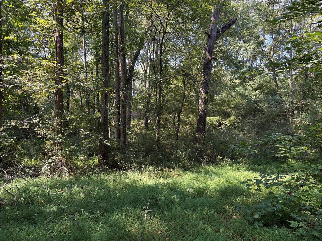 6485 Forsyth Drive Cumming, GA 30028 - Photo 15 of 26 a view of forest