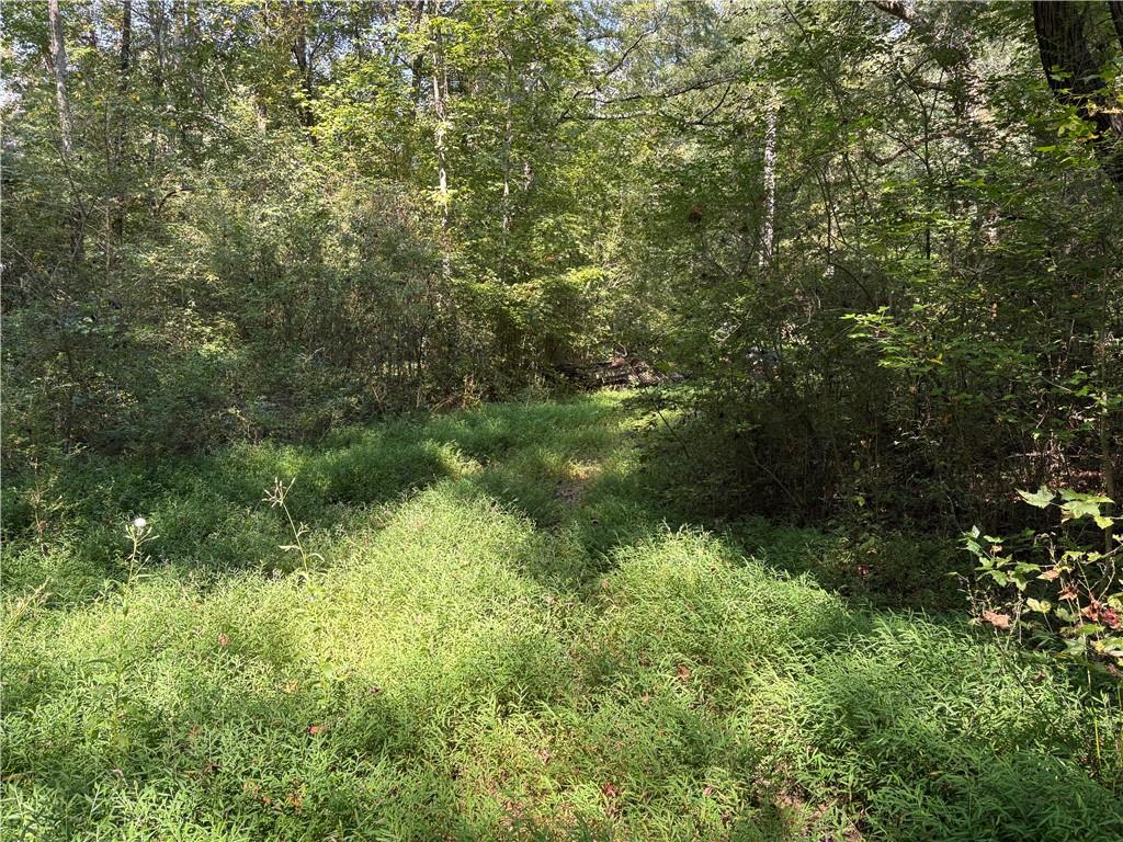 6485 Forsyth Drive Cumming, GA 30028 - Photo 16 of 26 a view of a lush green forest