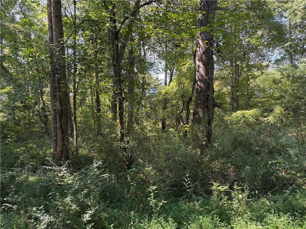 6485 Forsyth Drive Cumming, GA 30028 - Photo 17 of 26 a view of a yard with a tree