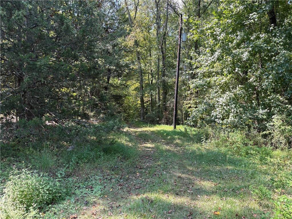 6485 Forsyth Drive Cumming, GA 30028 - Photo 18 of 26 a view of outdoor space and green space