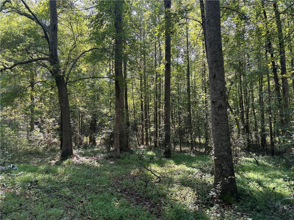 6485 Forsyth Drive Cumming, GA 30028 - Photo 20 of 26 a view of forest