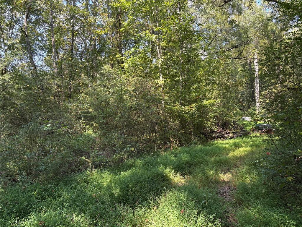 6485 Forsyth Drive Cumming, GA 30028 - Photo 22 of 26 a view of a lush green forest