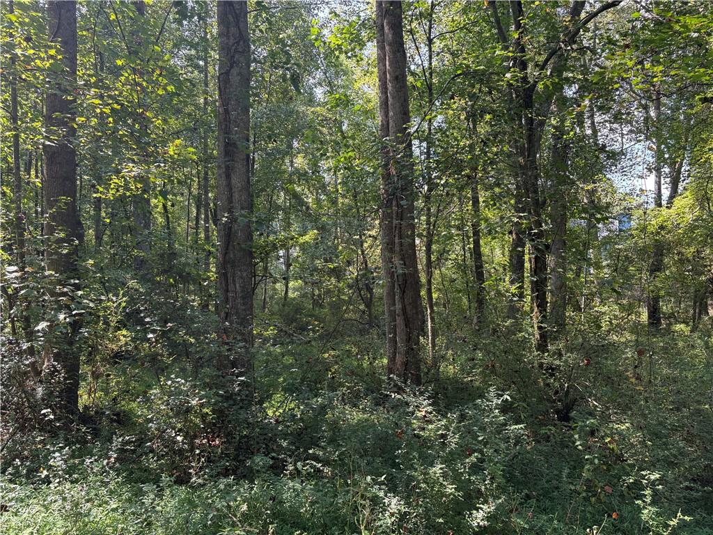 6485 Forsyth Drive Cumming, GA 30028 - Photo 23 of 26 a view of a forest that has large trees