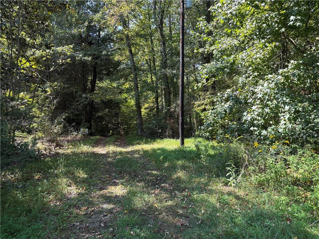 6485 Forsyth Drive Cumming, GA 30028 - Photo 25 of 26 a view of backyard with green space