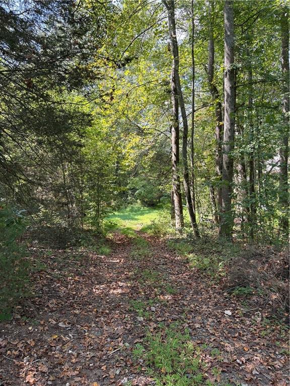 6485 Forsyth Drive Cumming, GA 30028 - Photo 26 of 26 a view of outdoor space and trees