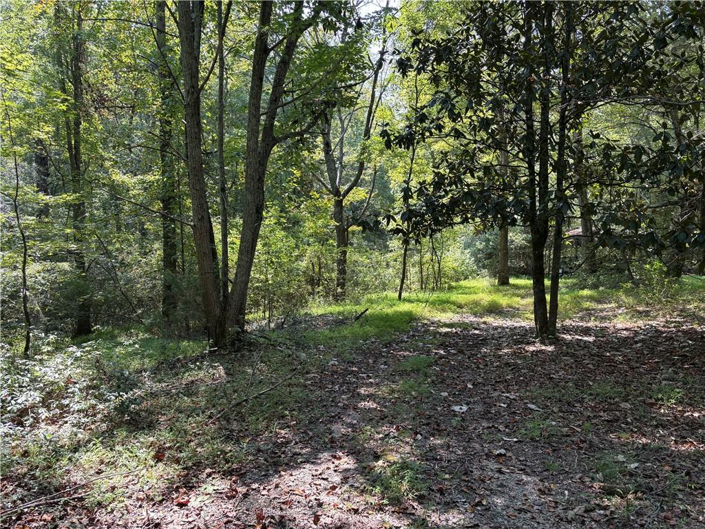 6485 Forsyth Drive Cumming, GA 30028 - Photo 5 of 26